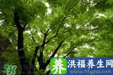 春天养生吃什么水果？春季养生必吃5种时令水果