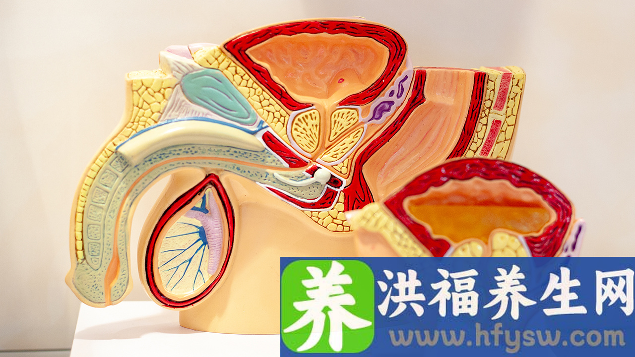 生殖器疱疹是不是性病？得了生殖器疱疹如何治疗？