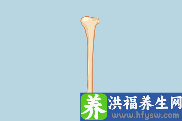 老年人可以做哪些身体检查？