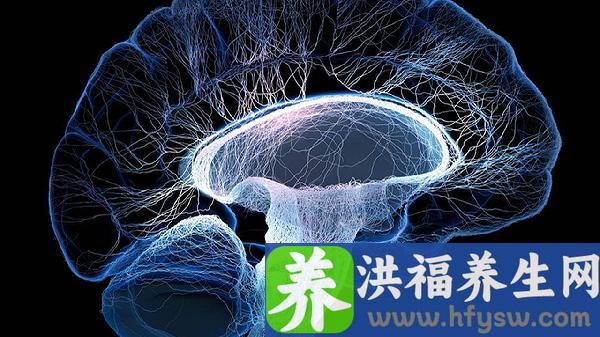 吃什么可以补充大脑营养提高记忆力