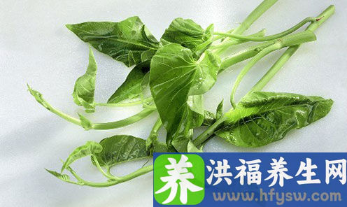 12种食物最护肝