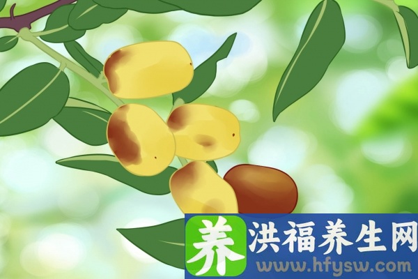 拐枣的功效与作用、禁忌和食用方法