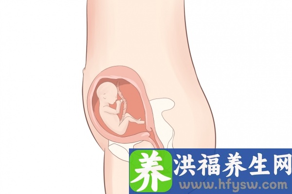 怀孕了可以吃桂圆吗