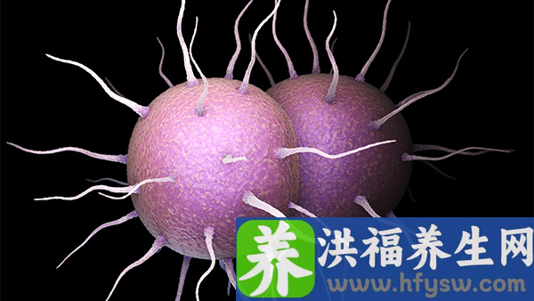 淋血病的症状是什么