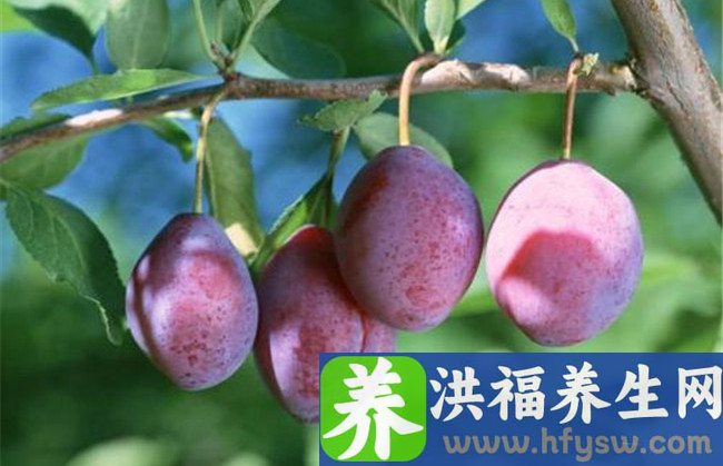 吃什么水果下火最快 十大下火的水果排名