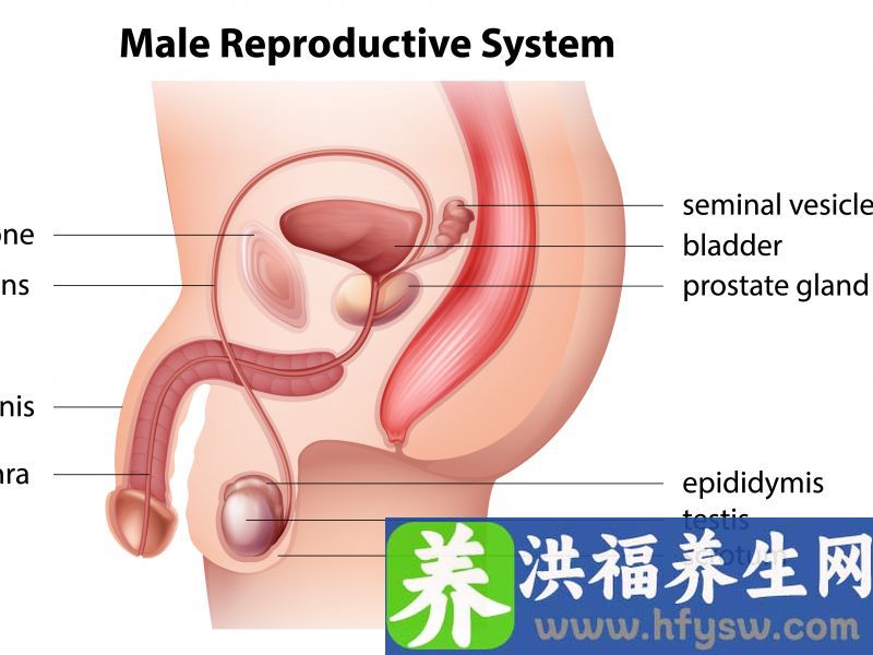 男性朋友看过来，做完包皮手术后水肿怎么办？这4个护理措施助你早点恢复