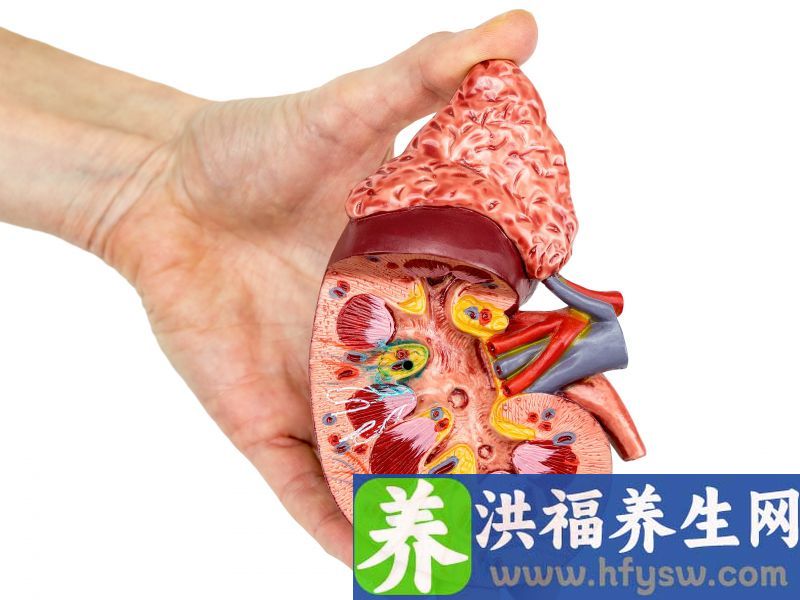为什么“尿毒症”越来越多？听一句劝：4个习惯别碰，肾会感谢你