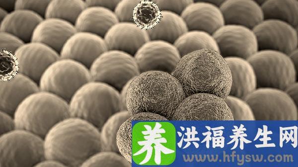 诺如病毒会不会通过母乳传给宝宝
