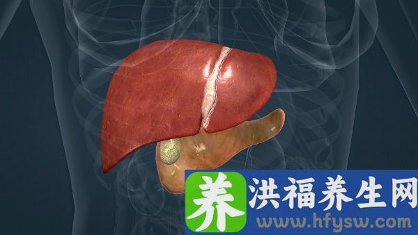肝区疼痛如何治疗