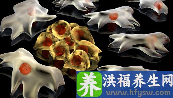 盐酸金刚乙胺片是抗病毒的药吗 盐酸金刚乙胺片的主要成分是什么？