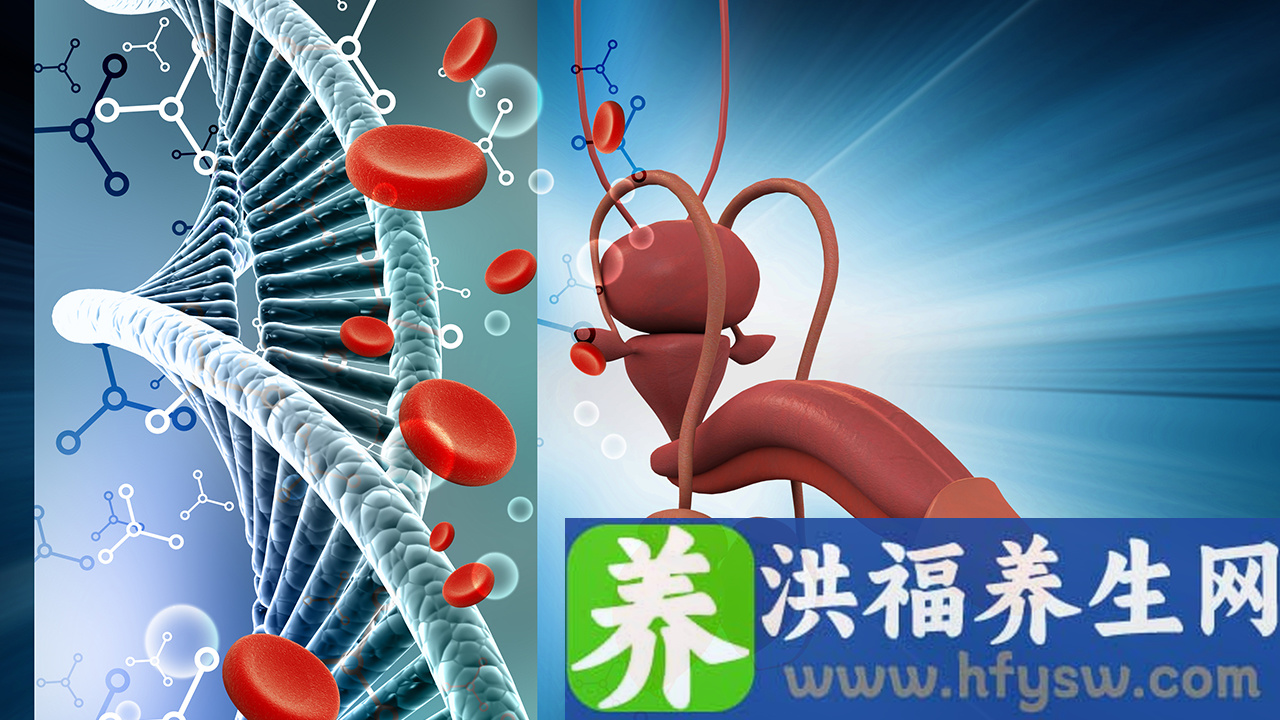 预防阳痿的有效保健方法有哪些？如何提高身体素质预防阳痿？