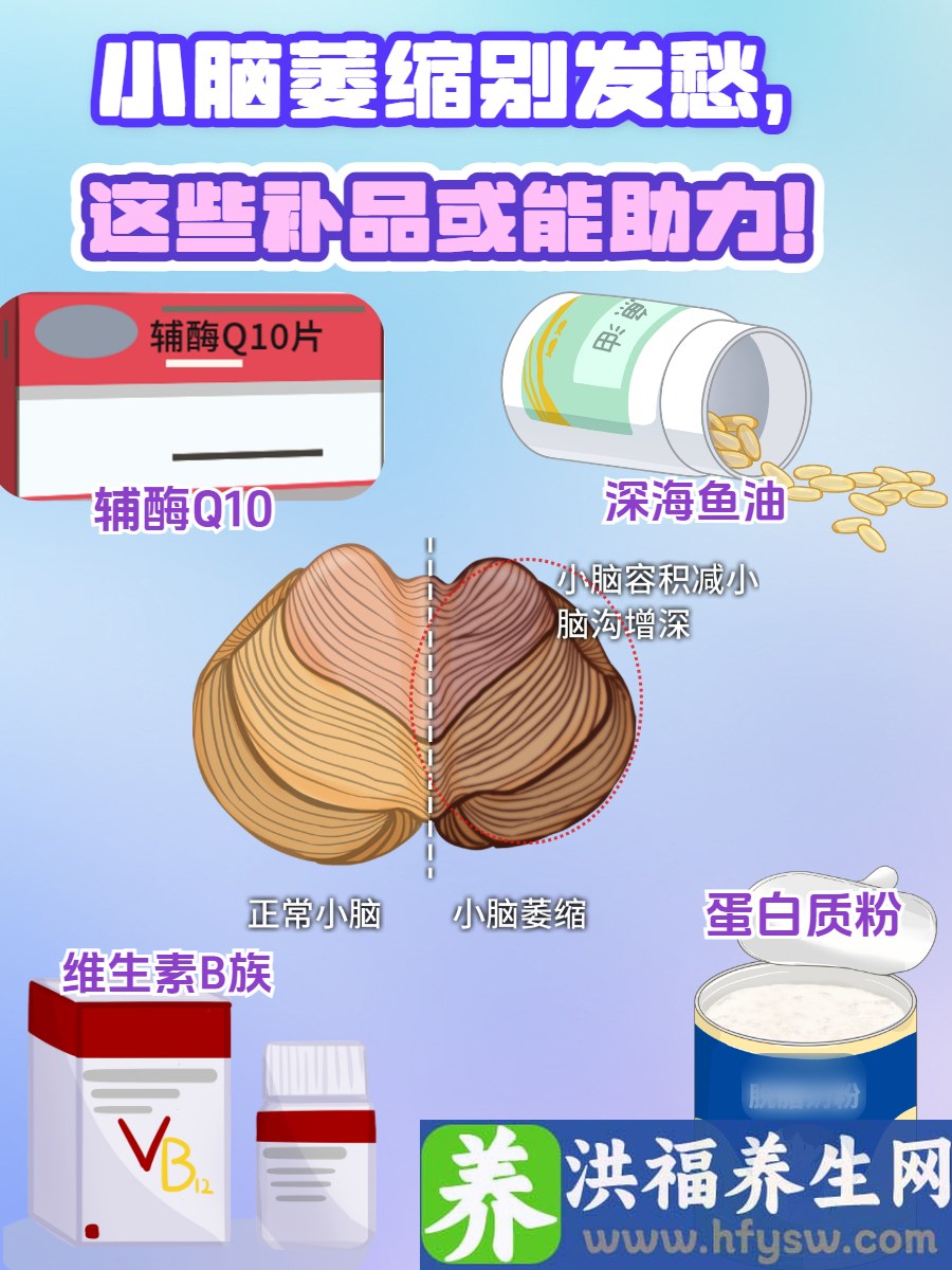 小脑萎缩别发愁，这些补品或能助力！