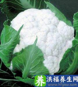 五月养生吃什么蔬菜最适合？8种蔬菜好吃健康美味营养，可以试试