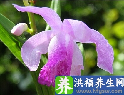 大暑养生喝什么汤 五款养生汤最消暑清热