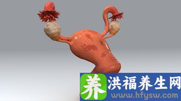 割完宫颈息肉多久复查