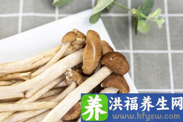 鸡腿菇的功效与作用、禁忌和食用方法
