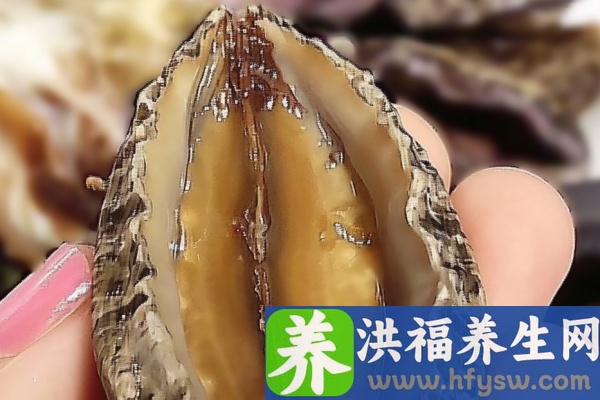 鲍鱼的功效与作用、禁忌和食用方法
