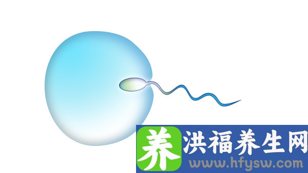 男性朋友为什么输精管堵塞？输精管堵塞需要检查什么？