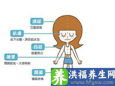 怎么知道身体湿气重 好吃又祛湿食物和水果有哪些