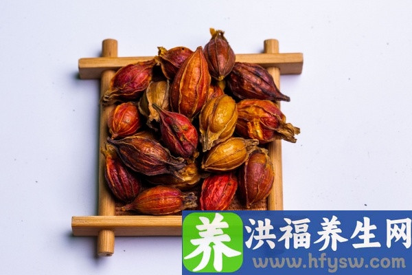 栀子的功效与作用、禁忌和食用方法