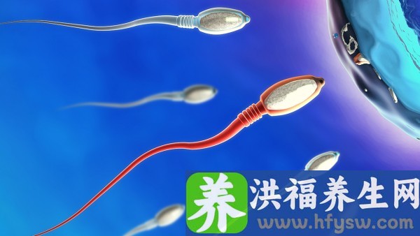 精子畸形症影响人工受孕吗