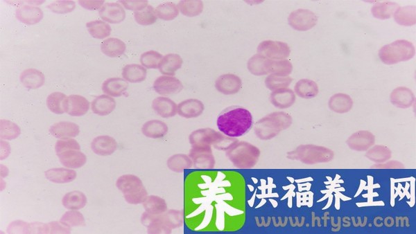 正清风痛宁缓释片能和抗病毒口服液一起吃吗 正清风痛宁缓释片怎么服用