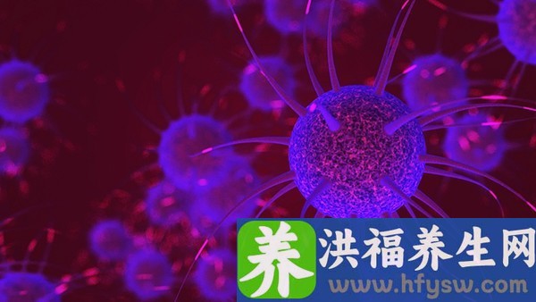 肝加欣片能经常吃吗 肝加欣片是抗病毒的药吗