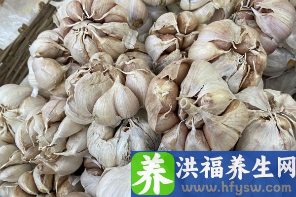 野蒜的功效与作用、禁忌和食用方法