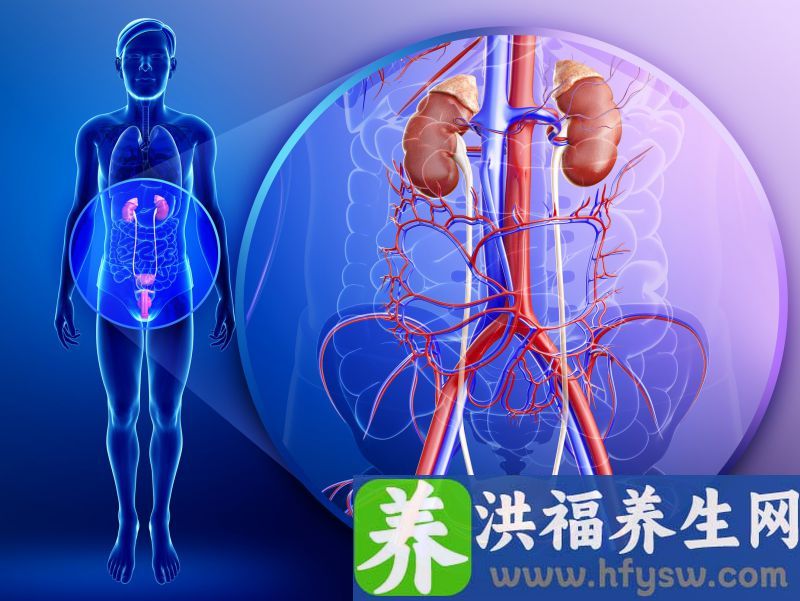 尿液若出现这3个现象，真的暗示肾脏发生病变？
