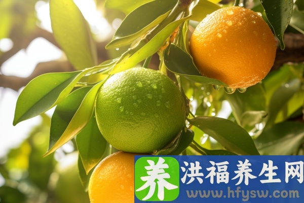 金桔的功效与作用、禁忌和食用方法