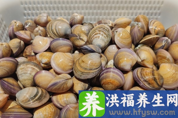 花蛤的功效与作用、禁忌和食用方法