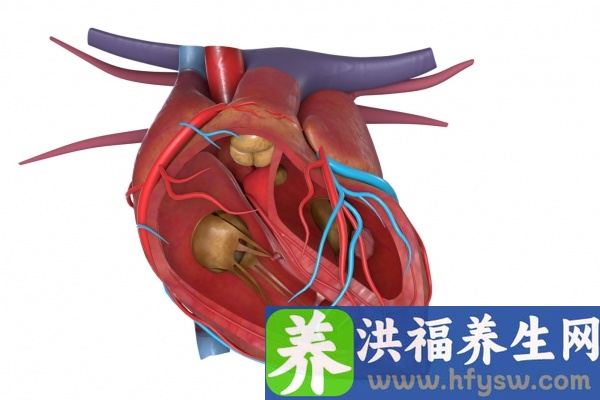 吃什么对心脏好