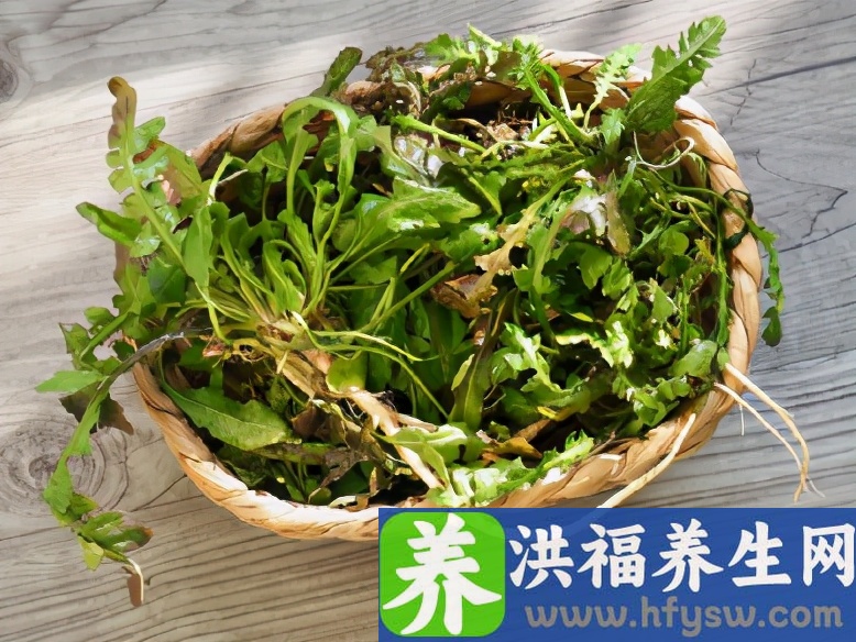 市场遇到这菜别手软，祛湿又护肝！可惜季节性太强，得抓紧吃