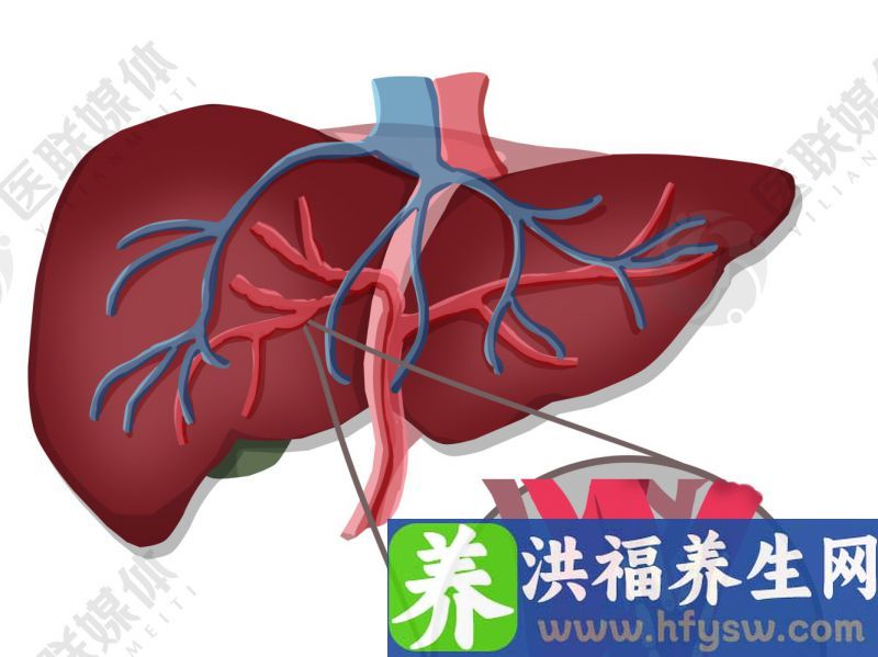 这4种“食物”多吃一口，肝脏受伤一分，一定要避免食用