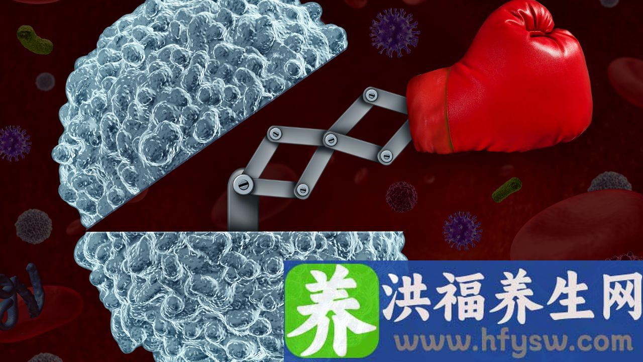 什么是白细胞抗原