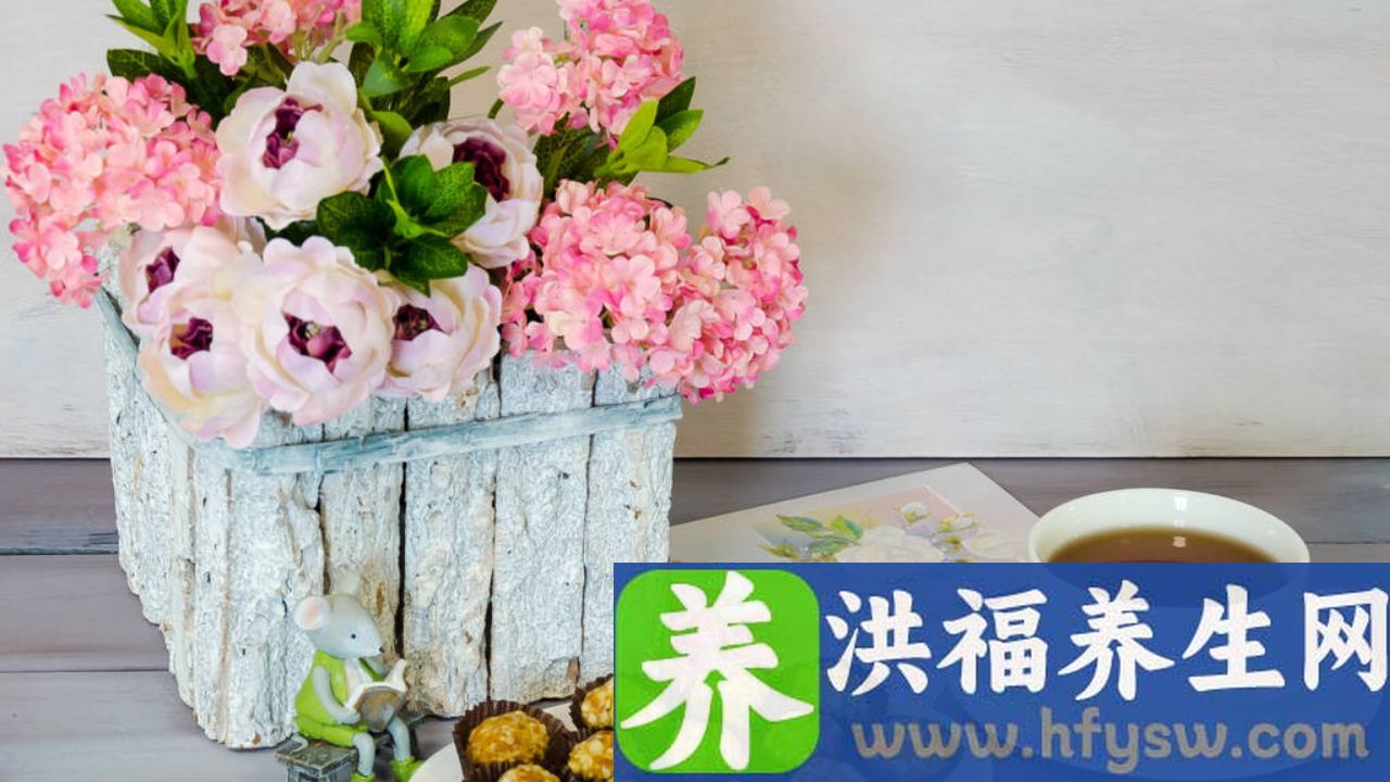 人体能量的三大来源