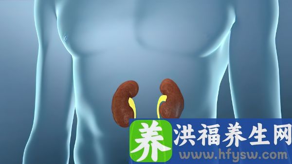 高尿酸会导致肾小球指标下降吗