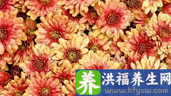 卵泡发育不良要吃药吗