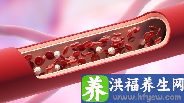 验血白细胞高怎么回事