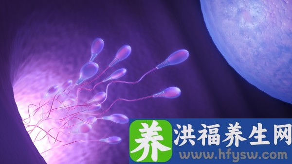 精子畸形症影响人工授孕