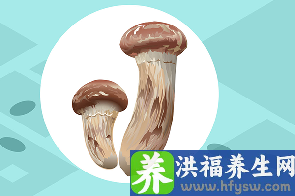 鸡腿菇的功效与作用、禁忌和食用方法