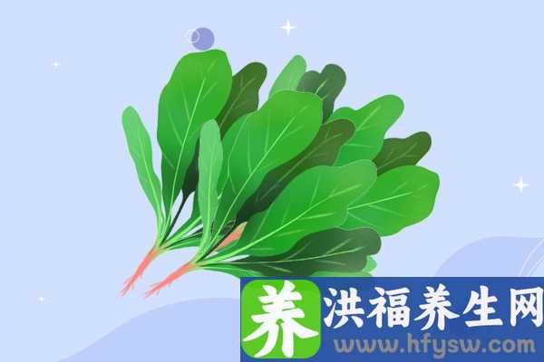 老年人应该少吃什么？多吃什么？