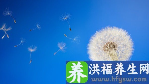 蒲公英颗粒和抗病毒颗粒的区别 蒲公英颗粒是抗病毒的药吗