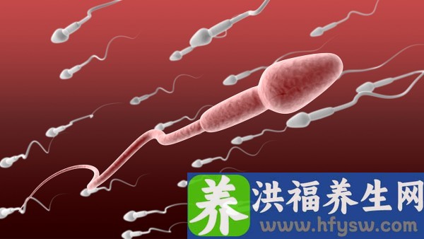 人工授精需要什么条件，成功率高吗