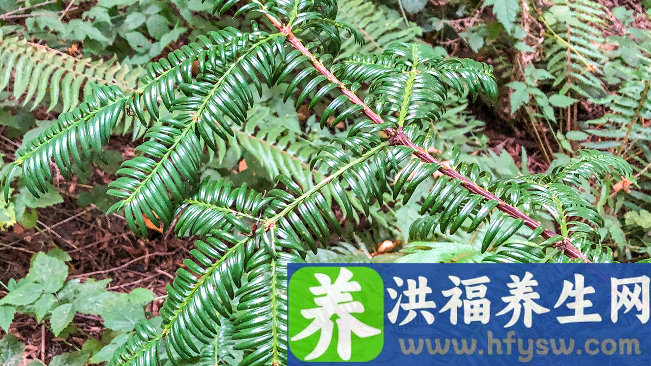 6大原因导致月经提前 调理经期做好这几点