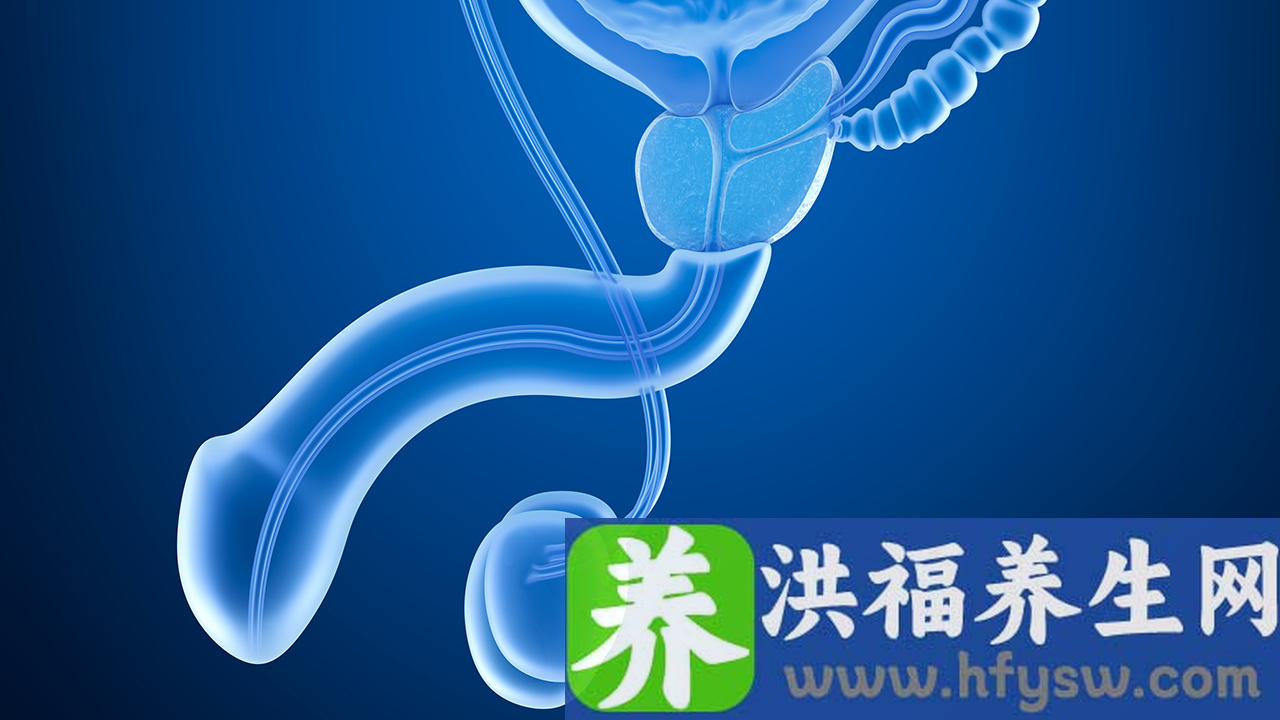 器质性阳痿属于哪种类型的阳痿？哪些因素会诱发阳痿？
