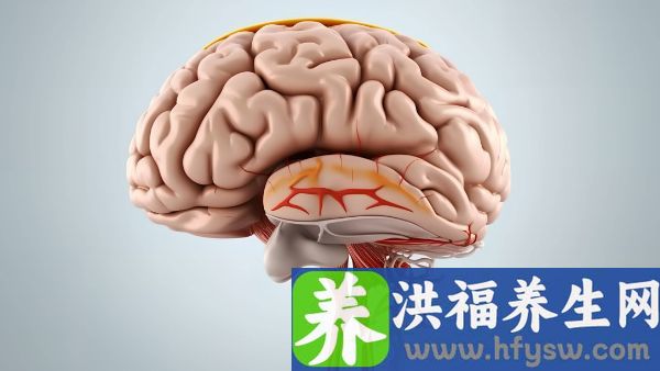 脑中风发作有什么表现