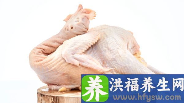 气管炎能吃鸡肉吗