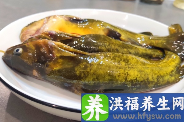 黄骨鱼的功效与作用、禁忌和食用方法