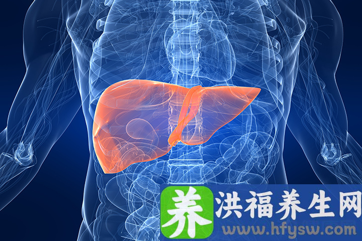 冬季吃什么水果能解毒养肝
